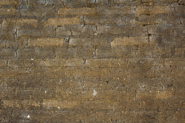 Free Wall Brick photo and picture