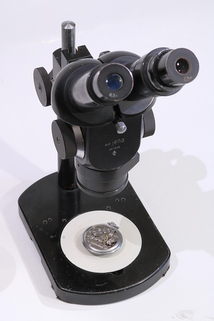 Free Microscope German photo and picture