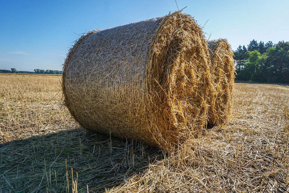 Strohballen Stroh Ernte - Kostenloses Foto auf Pixabay