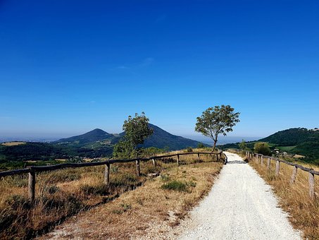 Soledad, Árbol, Solitario, El Verano