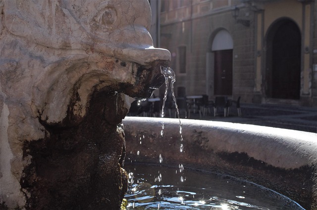 Free Mantua Fontana photo and picture