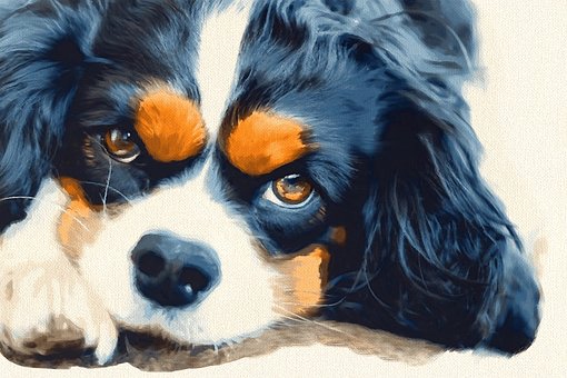 Free Dog Shepherd illustration and picture