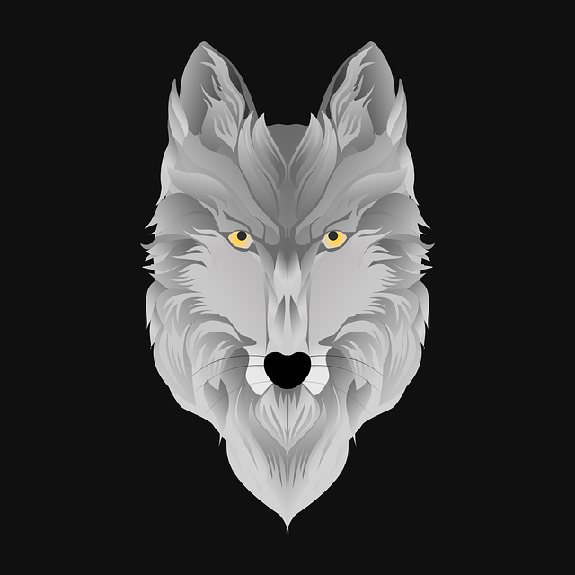 Wolf, Tier, Raubtier, Natur