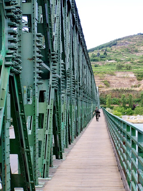 Free Danube Bridge Metal Structure photo and picture