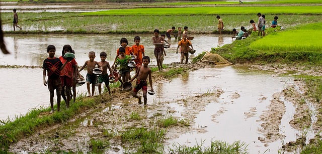 village, children, fishing