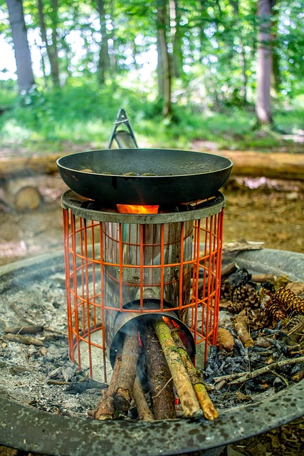 Free Camping Fire photo and picture
