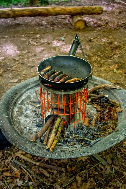 Free Camping Fire photo and picture