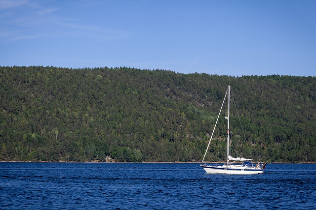 Free Sail Boat Sailing photo and picture