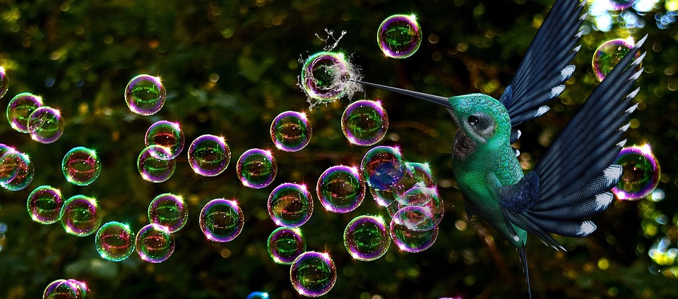 Bolle Di Sapone, Bird, Burst, Fantasia, Colibrì