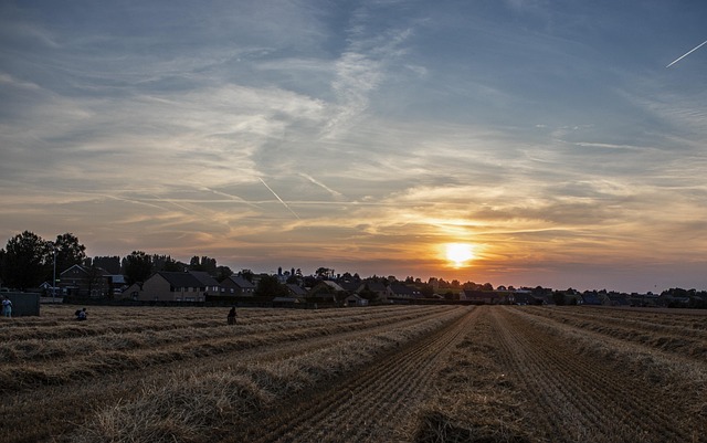 Free Sunset Nature photo and picture