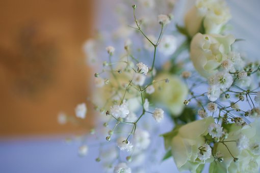 Blumen, Blumen Hintergrund, Blumentapete