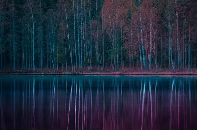 Wald, See, Herbst, Wasser, Natur