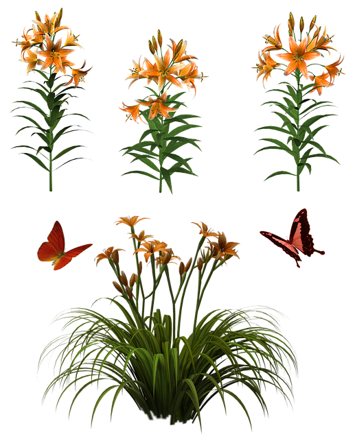 Blomster, Isolert, Sommerfugl, Anlegg