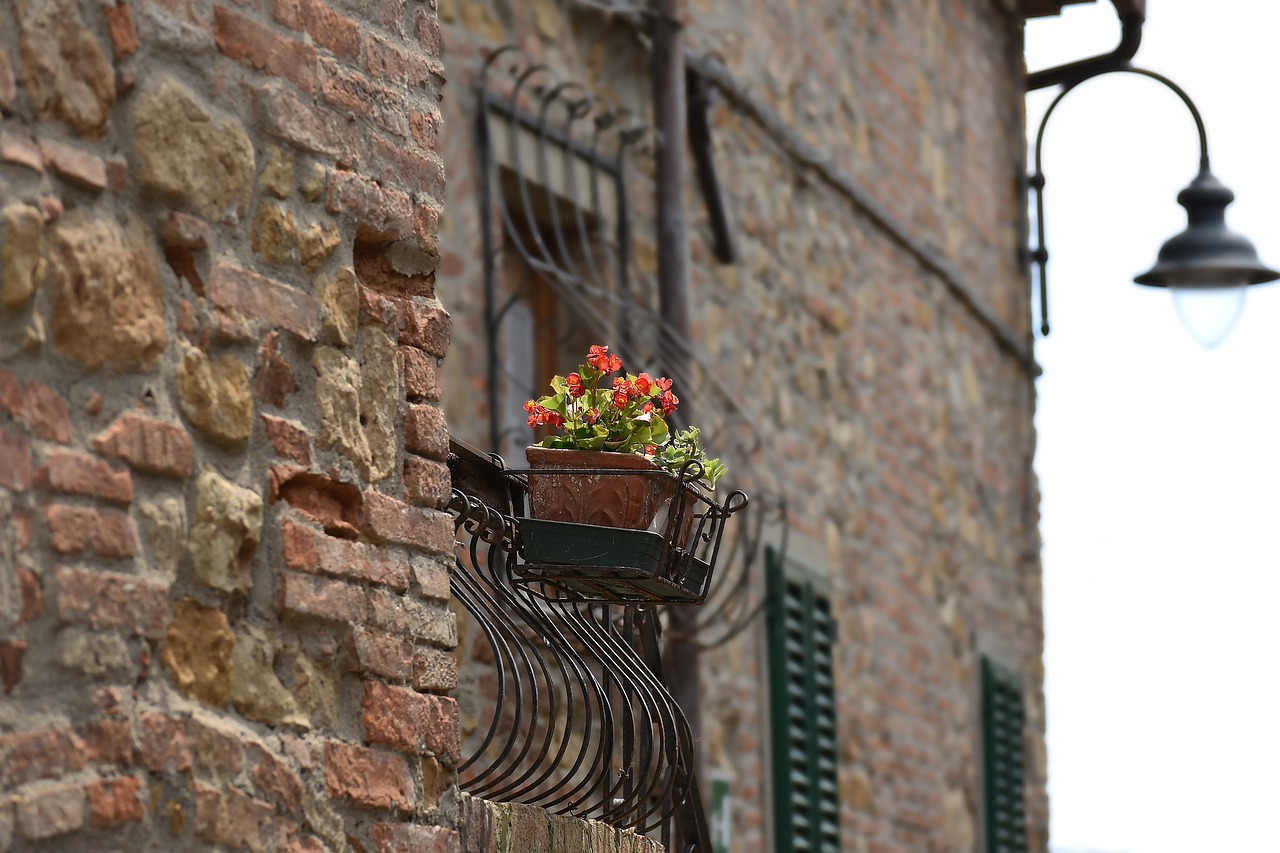 Color - free online jigsaw puzzle photo