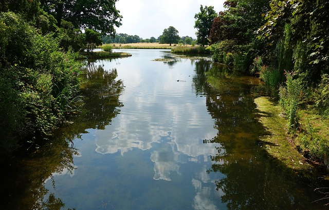 Free Water Secluded photo and picture