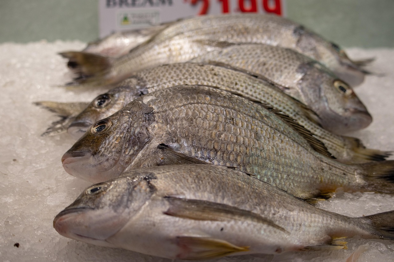 Fish - free online jigsaw puzzle photo