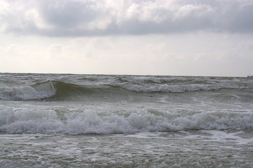 Free North Sea Texel photo and picture