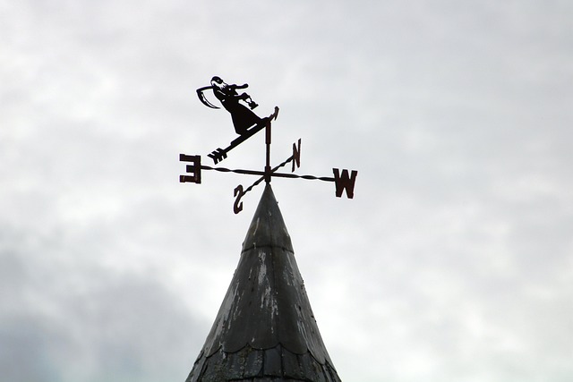 Free Weathervane Sign photo and picture