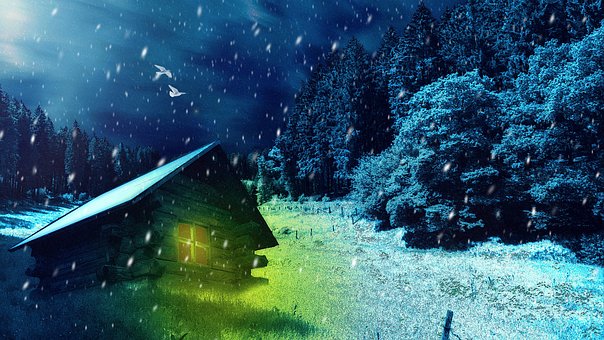 Cuento De Invierno, Nieve, Árboles
