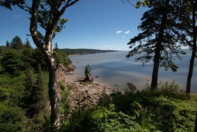 Free St Martins Water photo and picture