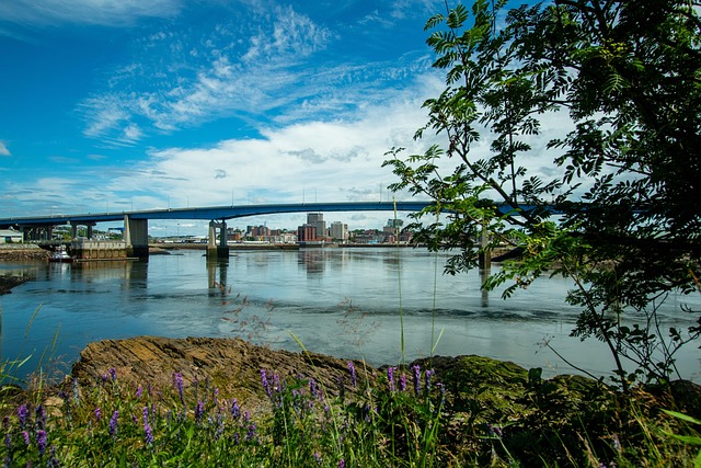 Free Saint John Water photo and picture