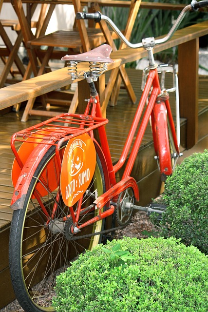 Free Bush Bicycle photo and picture