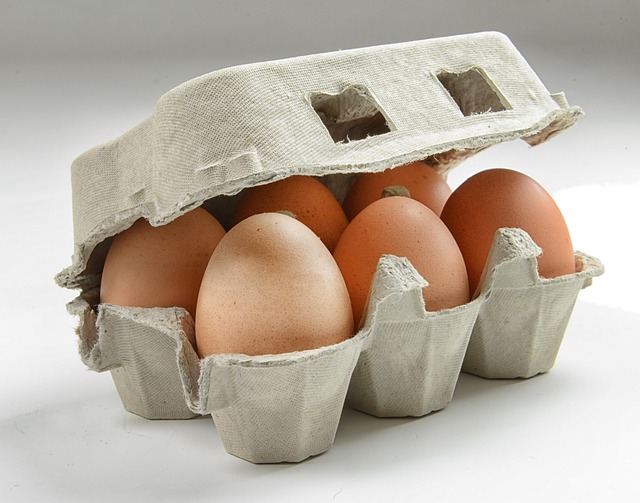 Free Hen'S Egg Organic Egg photo and picture