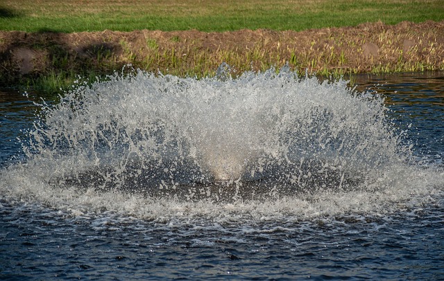 Free Fountain Nature photo and picture