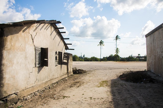 Free Zanzibar House photo and picture