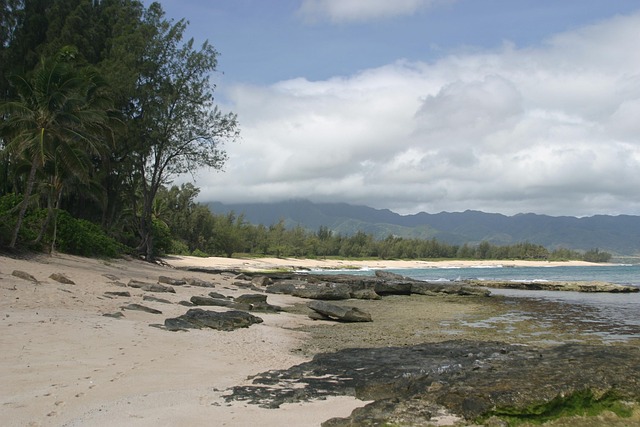 Free Beach Ocean photo and picture