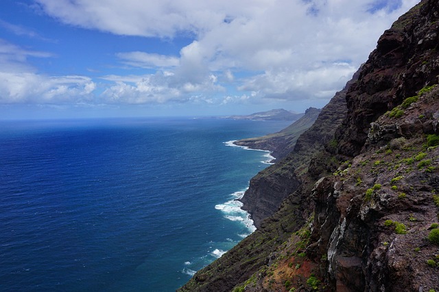 Free Las Palmas Nature photo and picture