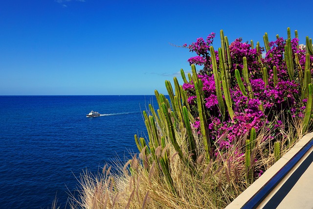 Free Sea Flowers photo and picture