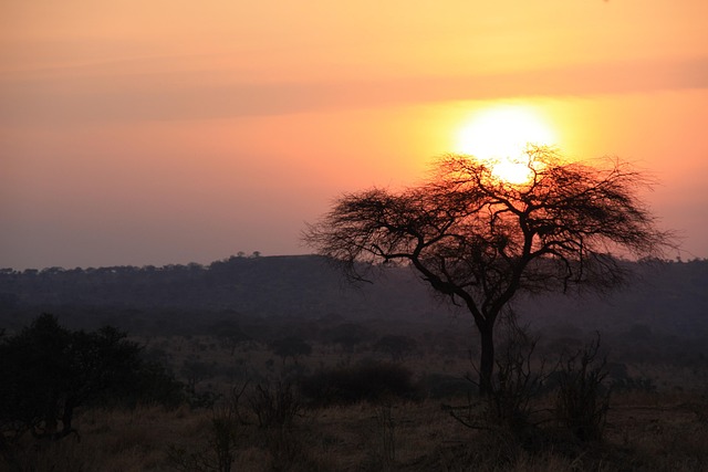 Free Tanzania Savannah photo and picture