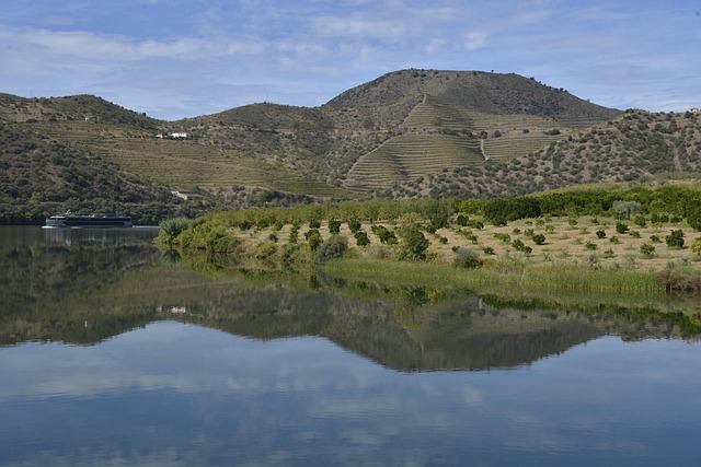 Free Portugal Douro photo and picture