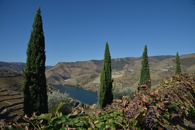 Free Portugal Douro photo and picture