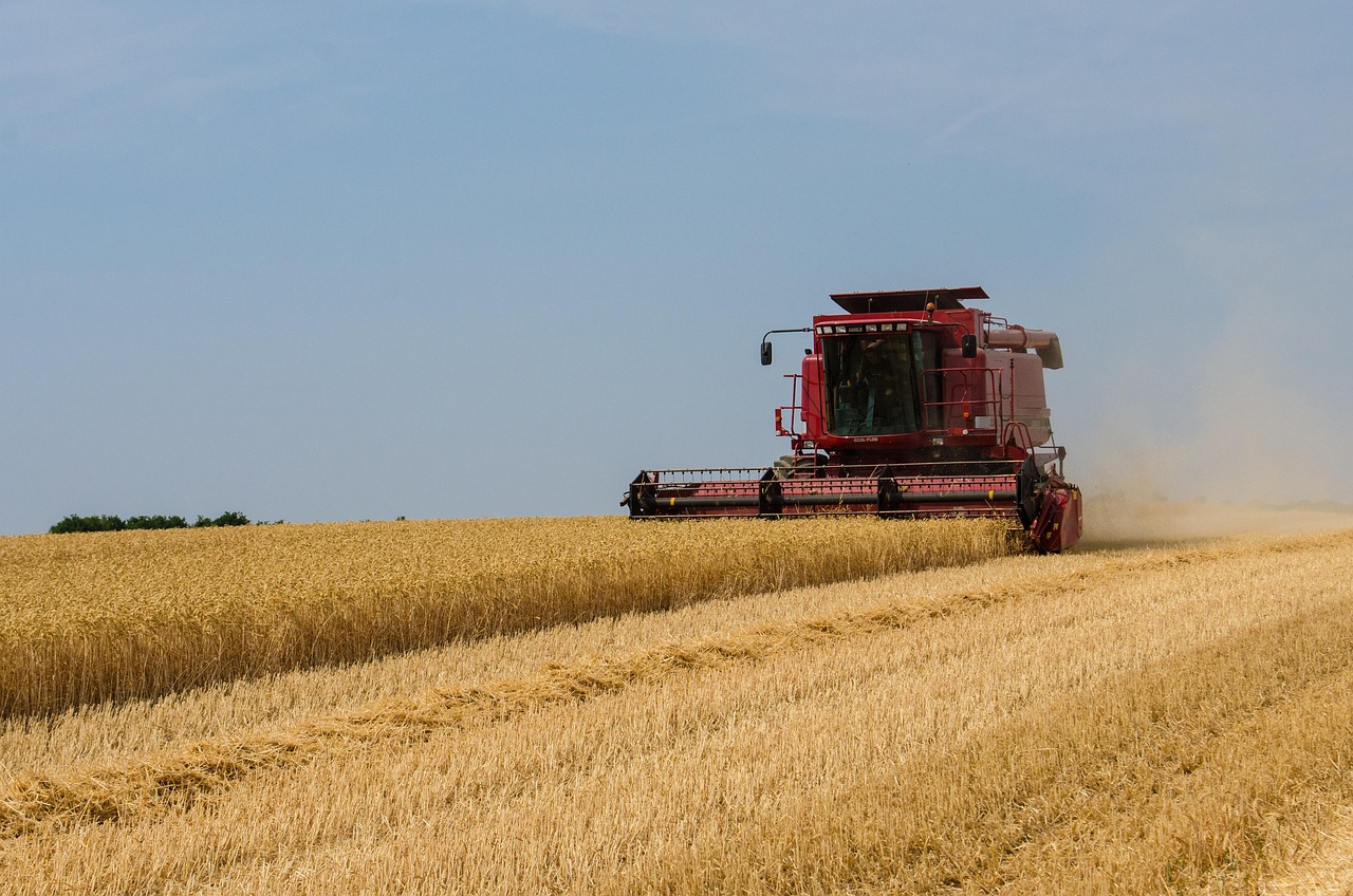 Download free HD stock image of Harvest Crops Free Harvest Crops photo and picture