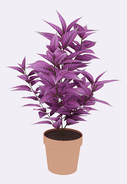 Free tree nature 3d illustration