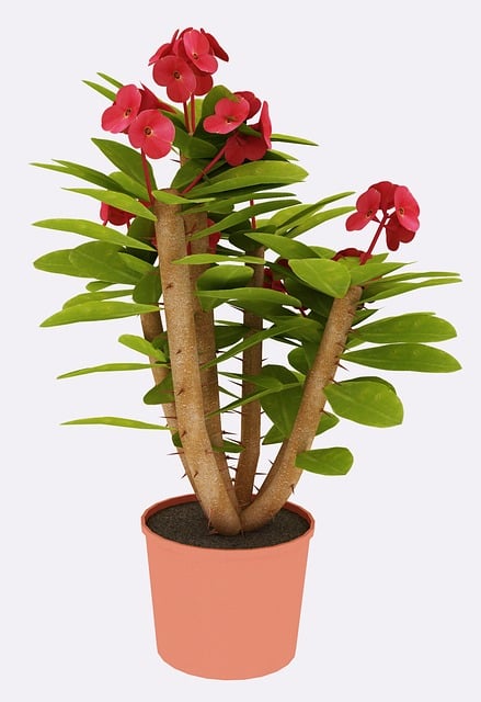 Free tree 3d render illustration