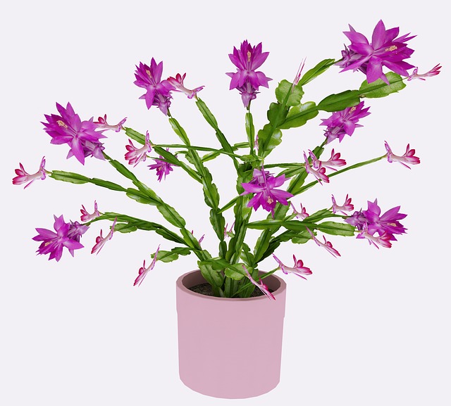 Free tree 3d render illustration