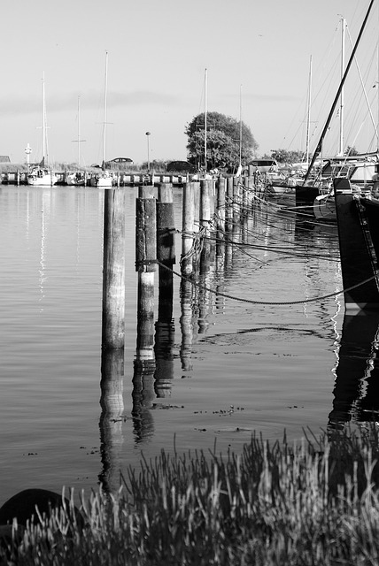 Haven, Zwart, Wit, Water, Wateren