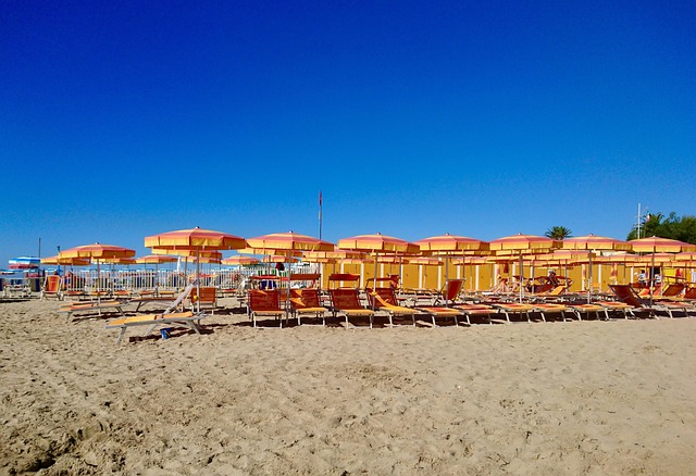 Free Beach Umbrellas photo and picture