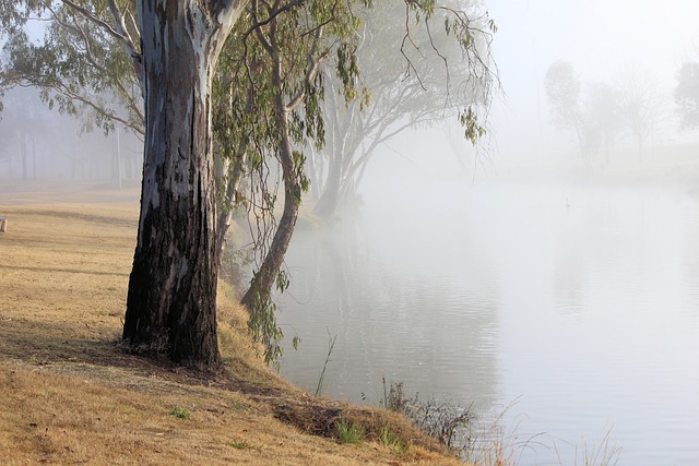 Free Calm Tranquil photo and picture