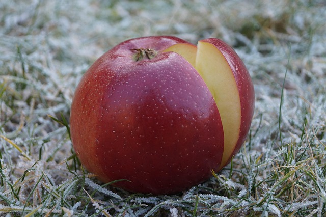 Apfel, Obst, Vitamine, Winterapfel
