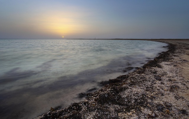 Marina, Doha, Katar, Golfo, Playa