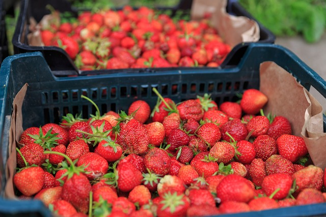 Free Strawberry Food photo and picture