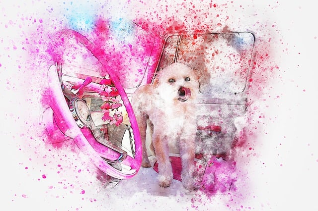 Bil, Hund, Kunst, Abstrakt, Akvarell