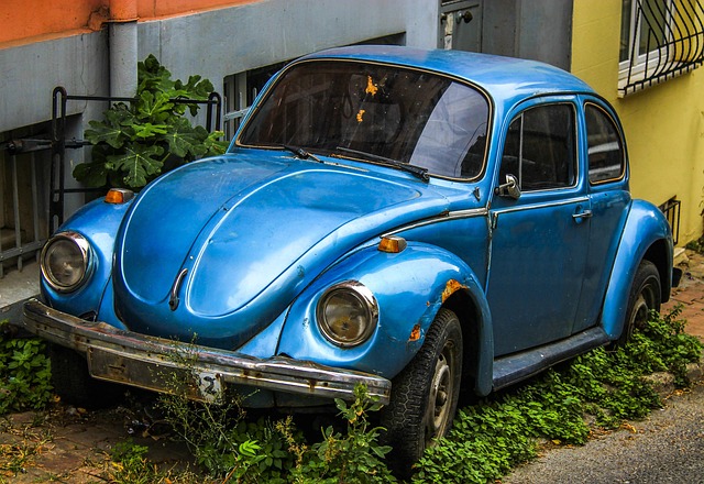 Free Ww Volkswagen photo and picture