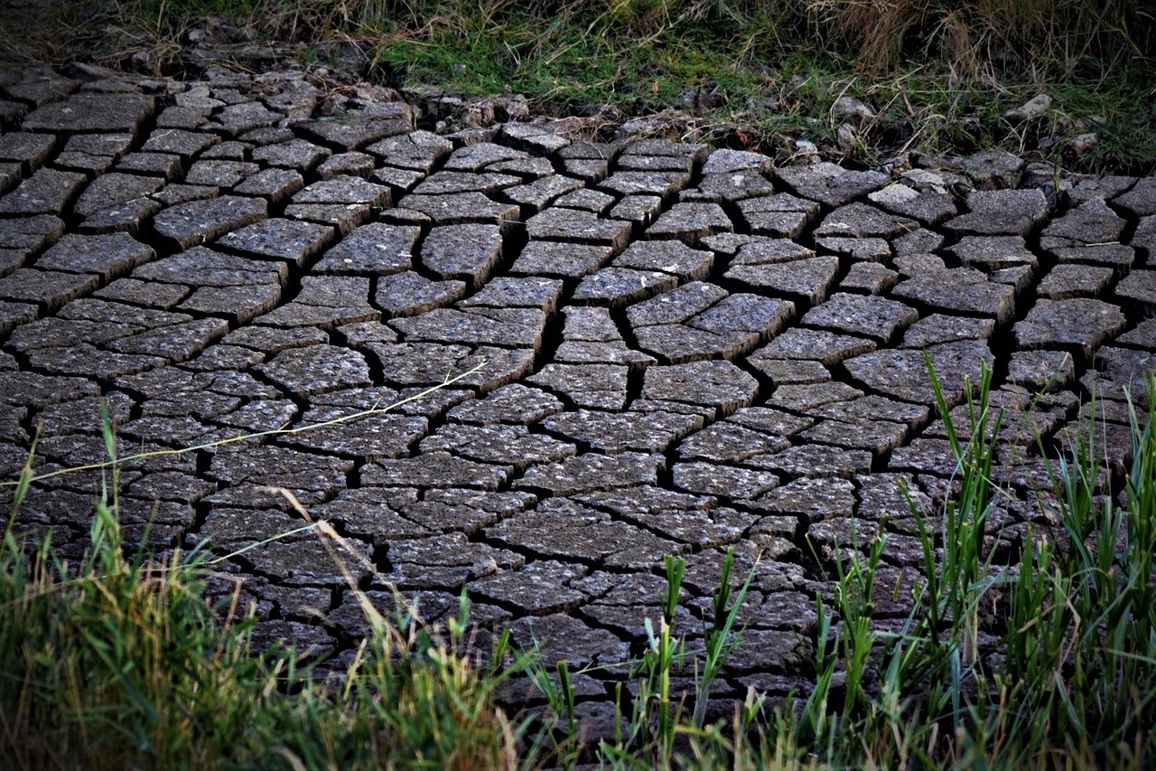 Dry Dryness Nature Free photo on Pixabay Pixabay