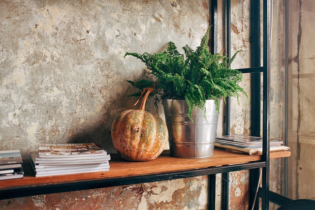Canto, Decoração, Decorar, Planta