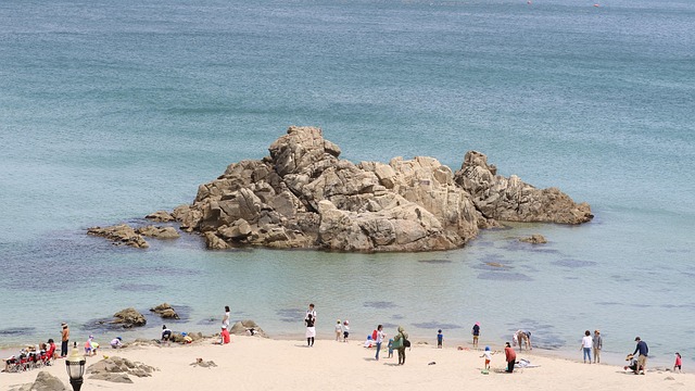 Free Osan Beach Summer photo and picture